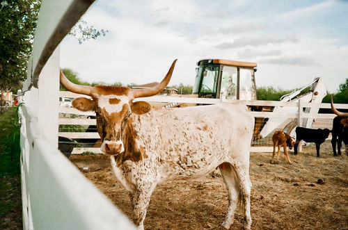 Customer photo review of The Bright & Clean Preset Collection