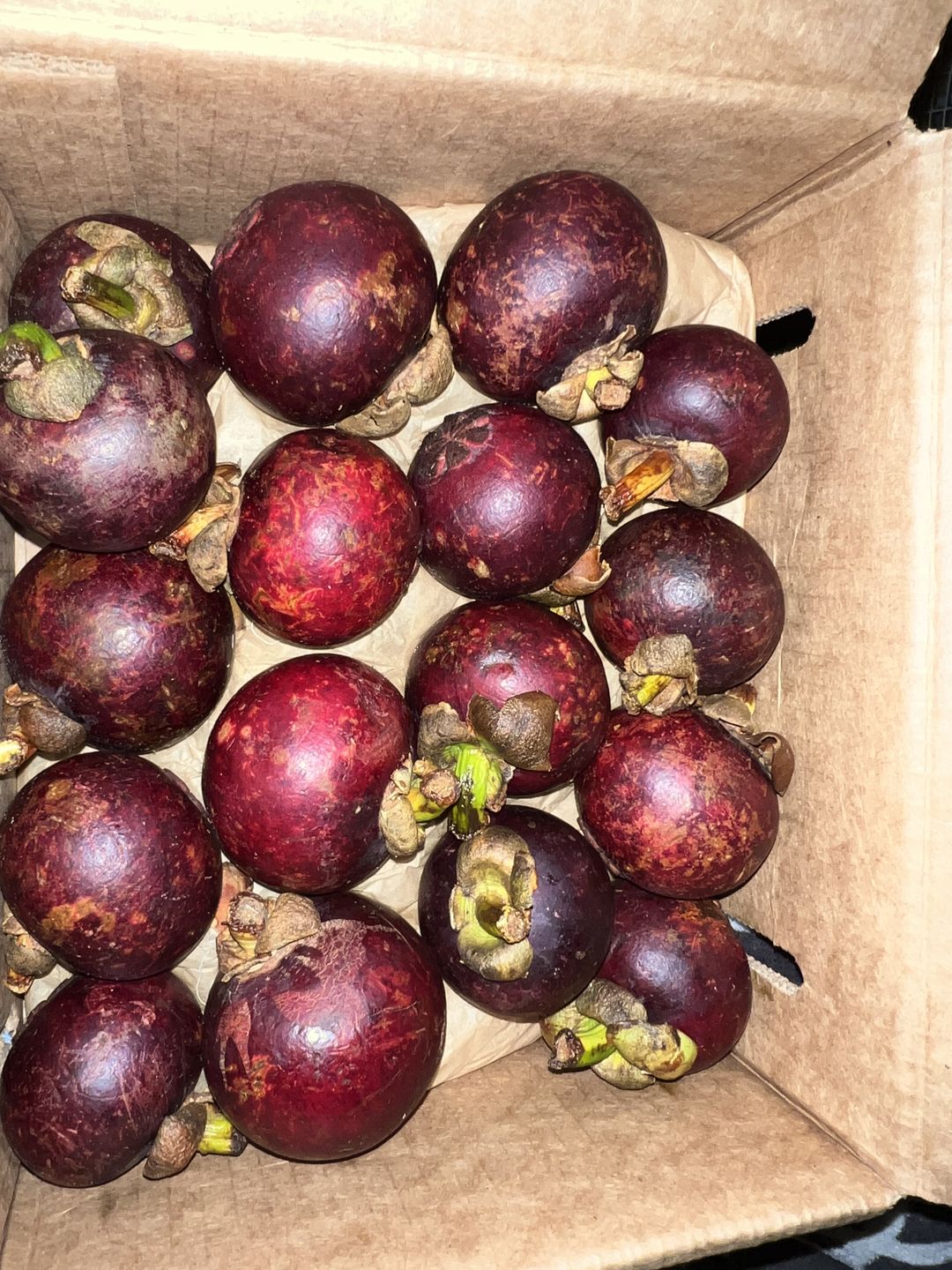 Customer photo review of Mangosteen Box