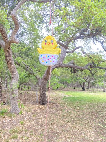 Customer photo review of Baby Chick Pinata Easter Egg Pinata