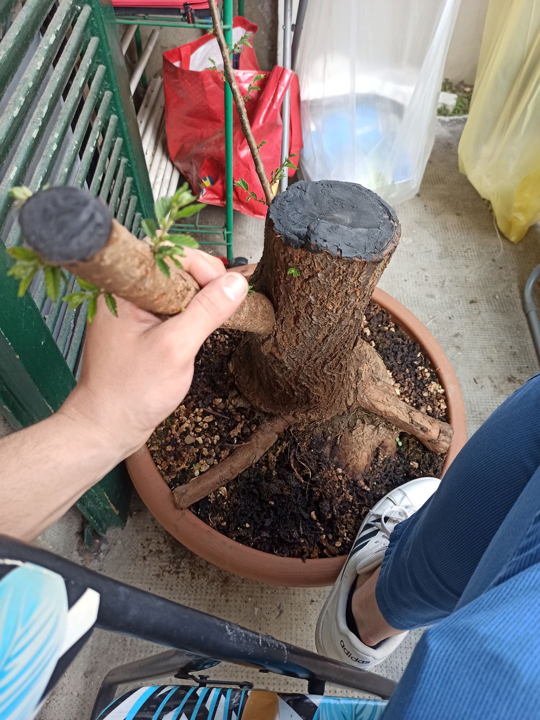 Customer photo review of BLOCK PRO 3.0 CB® EVOLUZIONE FINALE 400 gr