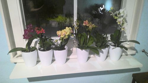 Customer photo review of Überraschungspaket Surprise