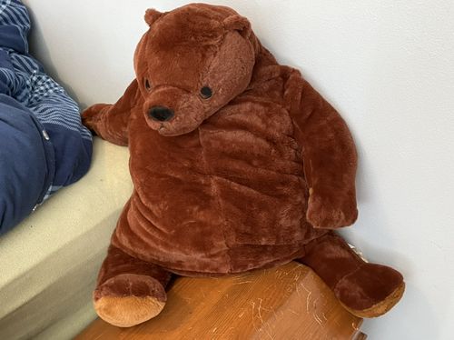 Customer photo review of SKOGGY BEAR