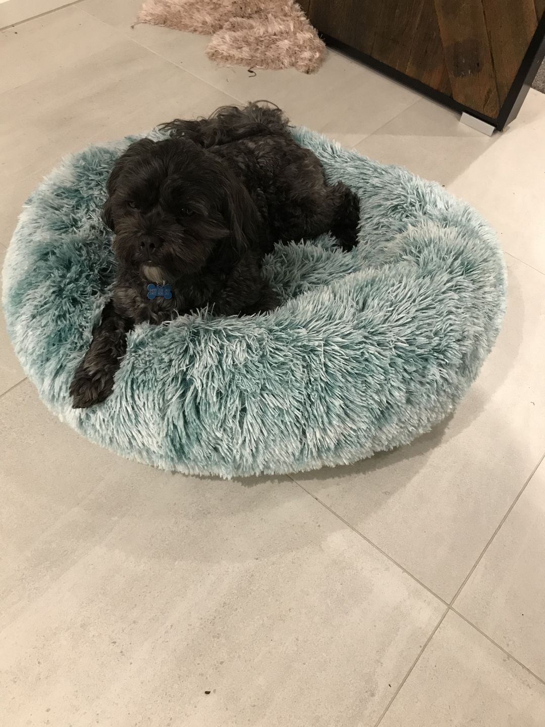 Customer photo review of Super Soft Calming Dog Beds