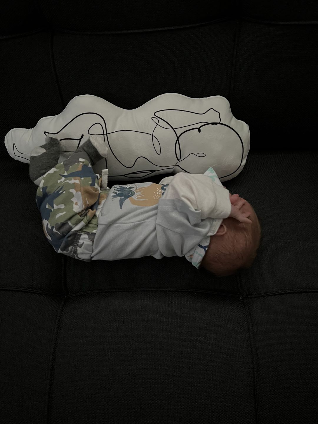 Customer photo review of Birth Pillow Line One