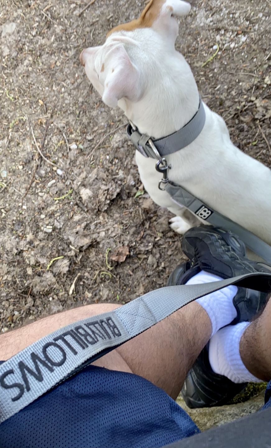 Customer photo review of Nylon Snap Hook Lead | Series 2 - Metal Grey
