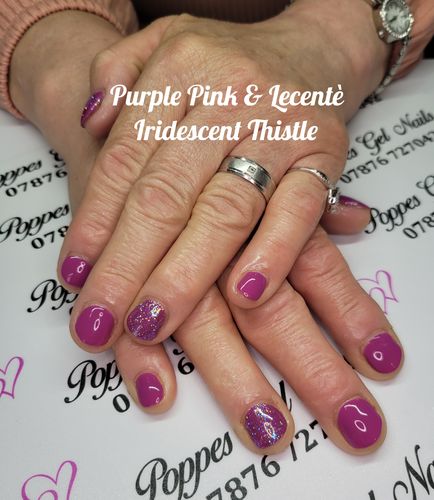 Customer photo review of Bluesky A109 Purple Pink