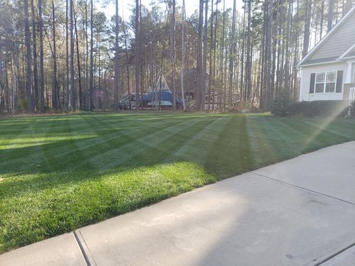 Customer photo review of Protene Performance Starter Fertilizer