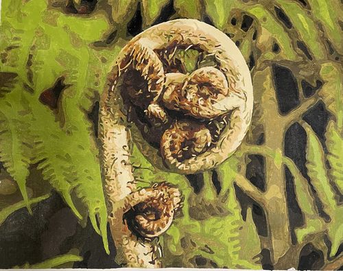 Customer photo review of New Zealand Fern