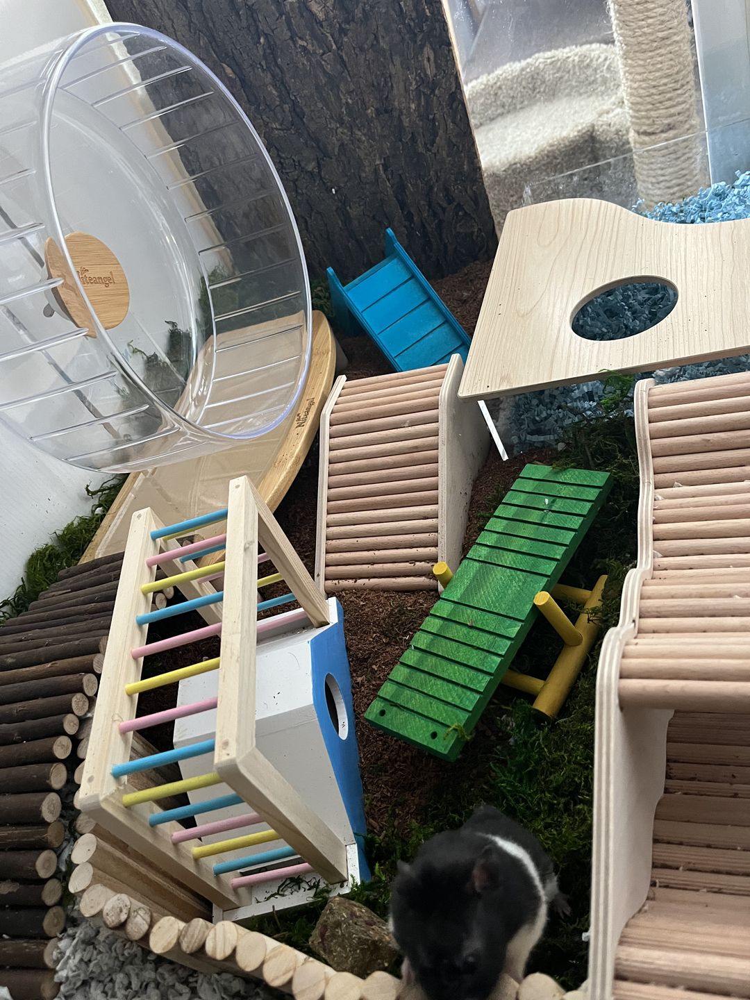 Customer photo review of Niteangel Super-Silent Hamster Exercise Wheels
