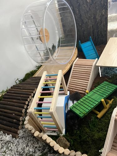 Customer photo review of Niteangel Anti-Slide Hamster Wheel Platform - Fits Super-Silent Hamster Wheel | Acrylic Wheel | Wooden Wheel | Cloud Series Hamster Wheel