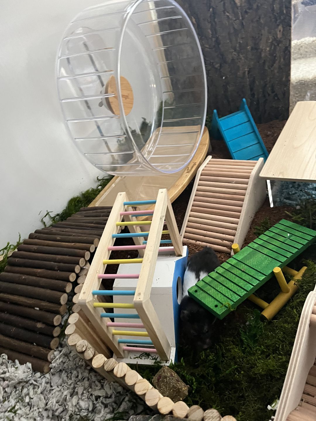 Customer photo review of Niteangel Anti-Slide Hamster Wheel Platform - Fits Super-Silent Hamster Wheel | Acrylic Wheel | Wooden Wheel | Cloud Series Hamster Wheel