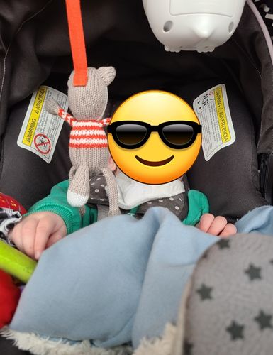 Customer photo review of knit stroller toy | finley the fox