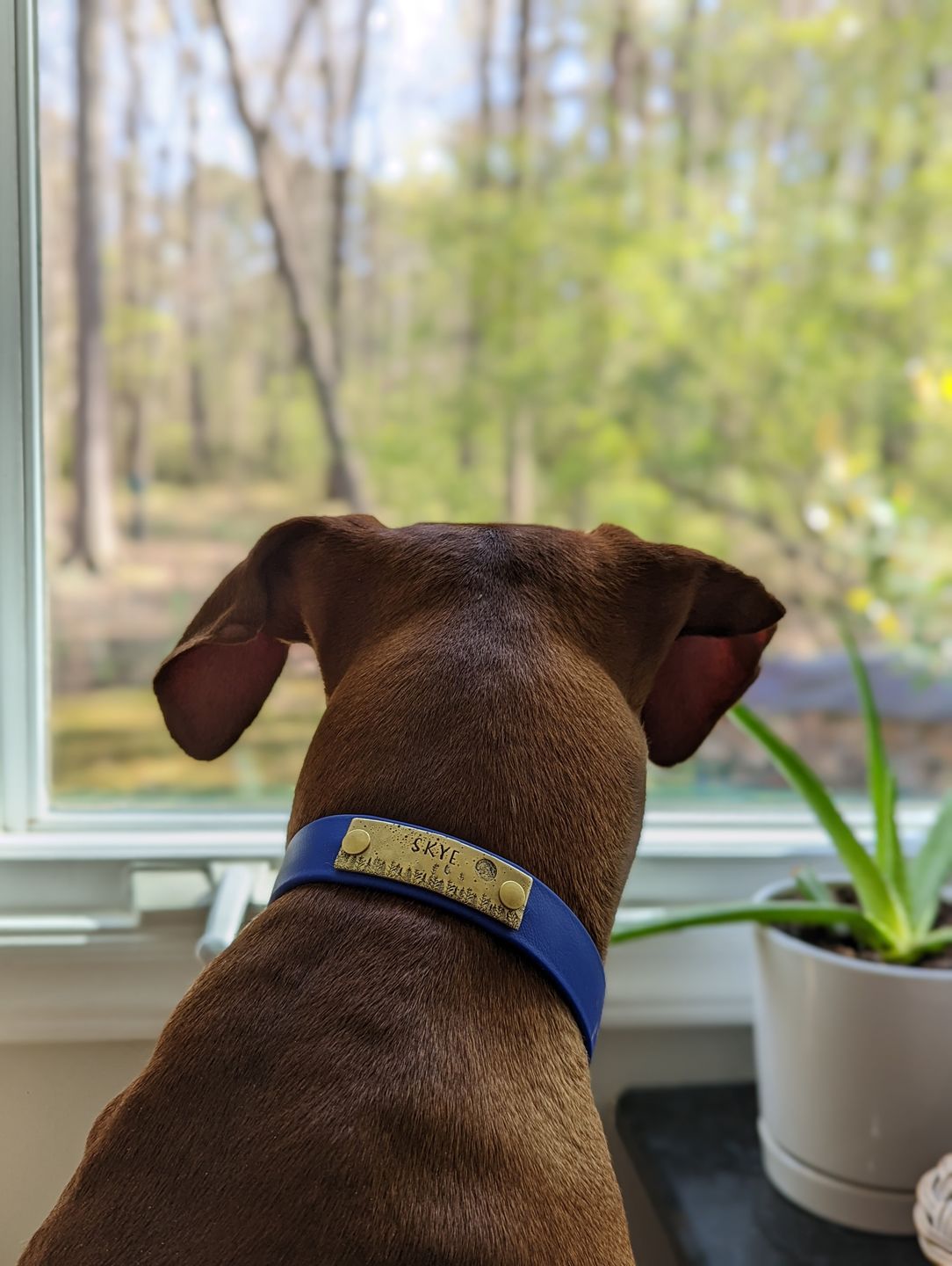 Customer photo review of Rivet-On Tag