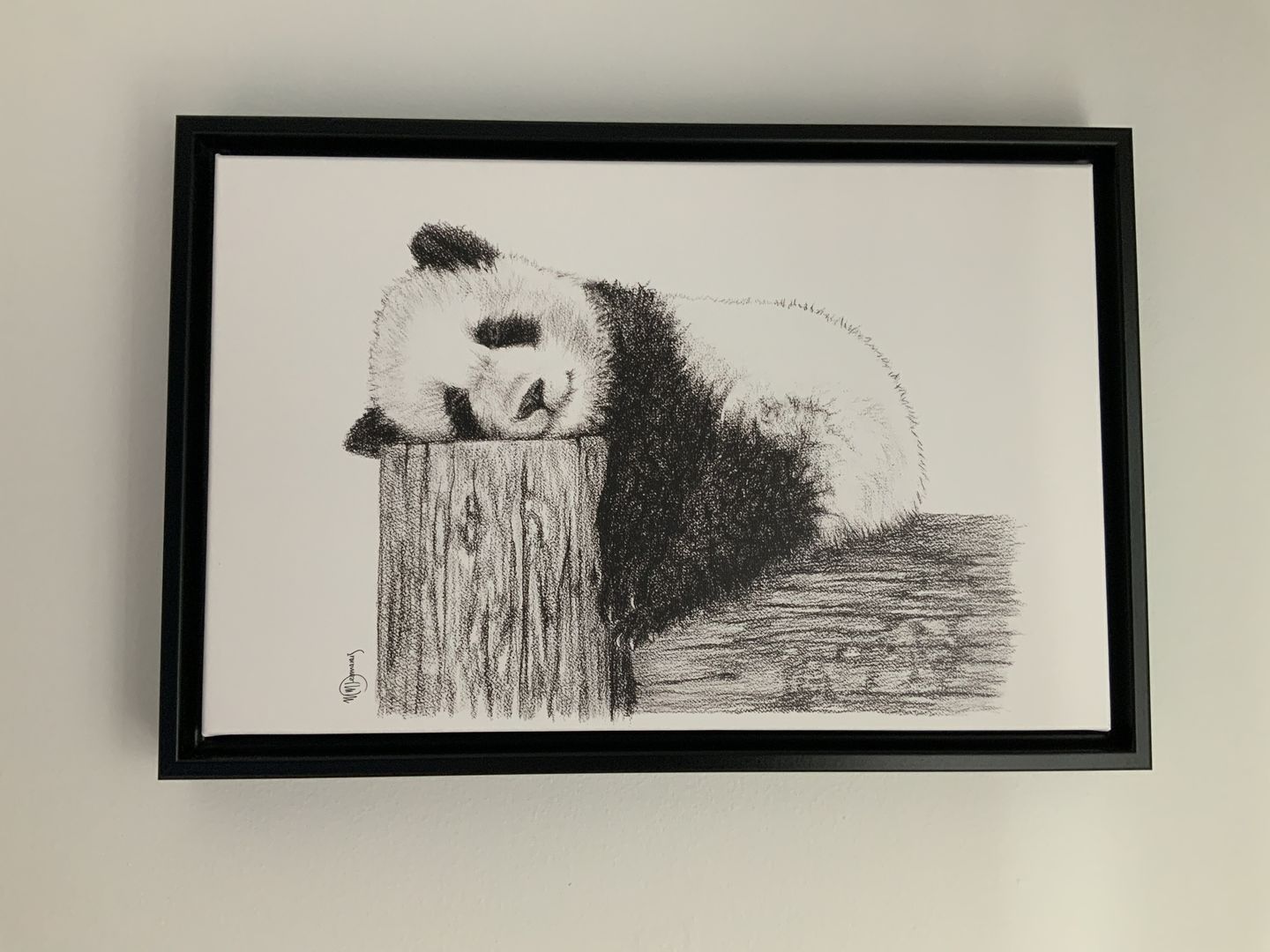 Customer photo review of Pause Panda