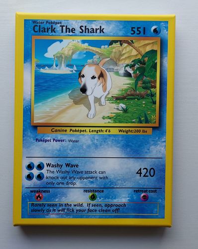 Customer photo review of Pokepet