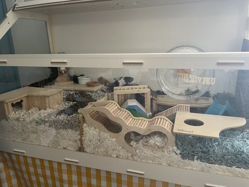 Customer photo review of Niteangel Vista Hamster Cage W/ Oblique Opening - MDF Aspen Small Animal Cage for Syrian Dwarf Hamsters Degus Mice or Other Similar-Sized Pets