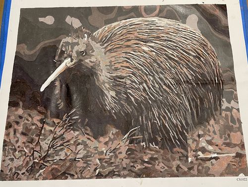 Customer photo review of Little Brown Kiwi