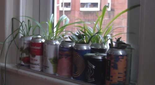 Customer photo review of Bird & Wild RSPB Coffee, Seasonal Blend Medium Roast, 1kg, Whole Beans