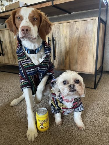 Customer photo review of Playa Poncho