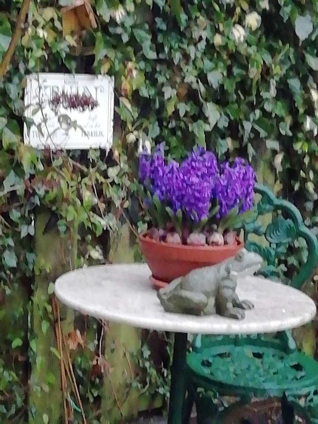 Customer photo review of Tuingeluk - Tuin-deurbord