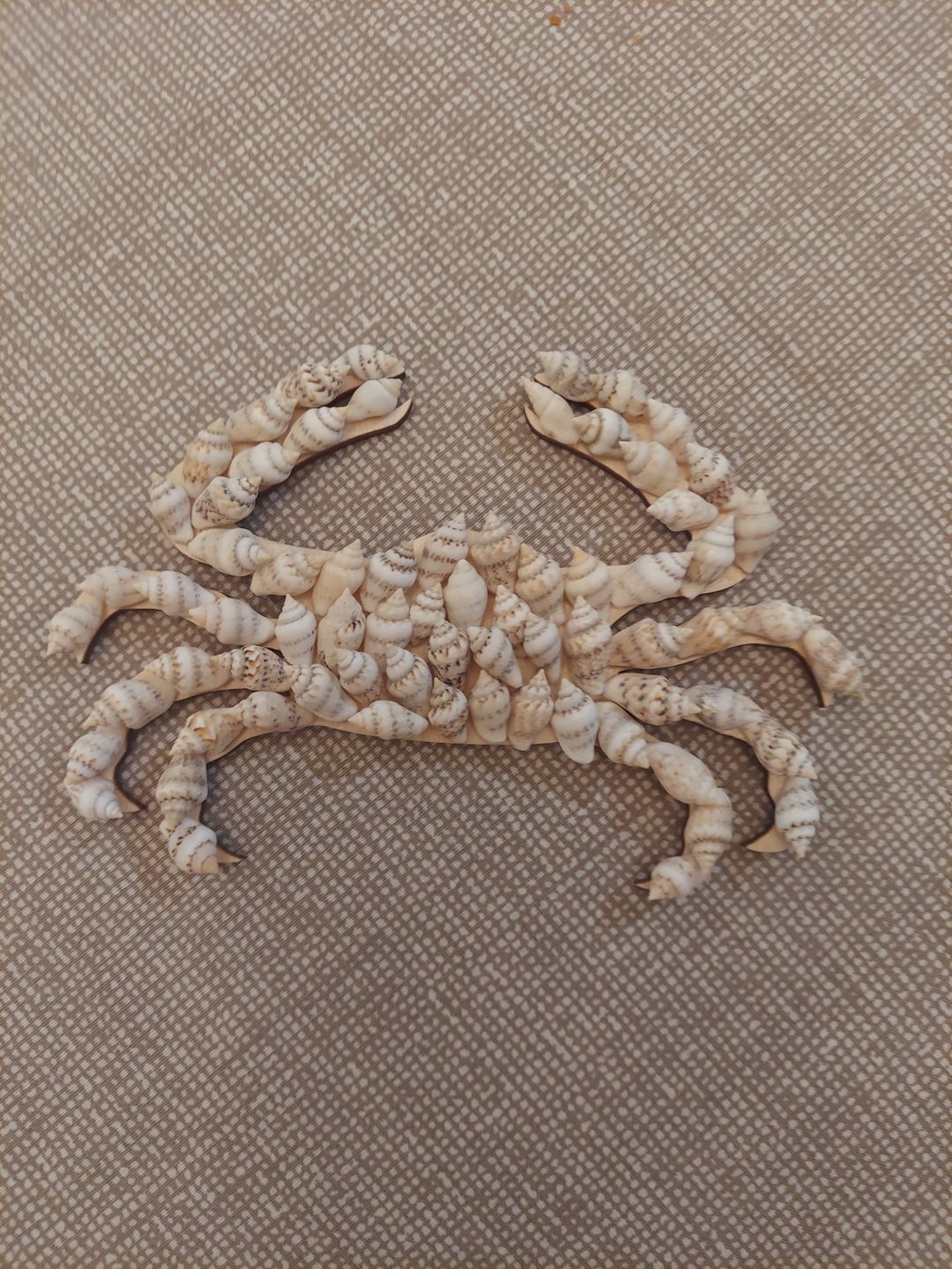 Customer photo review of Unfinished Wooden Crab Shape - Ocean - Nursery - Craft - up to 24" DIY