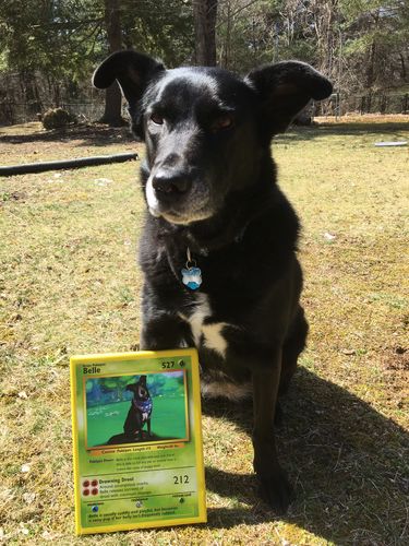 Customer photo review of Product options