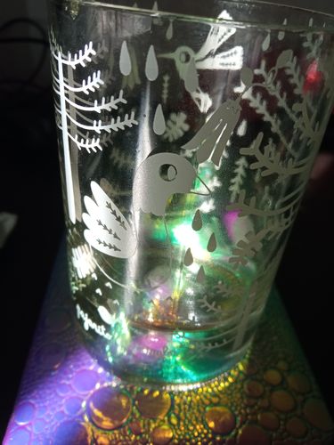 Customer photo review of Flora & Fauna Juego de 4 Vasos