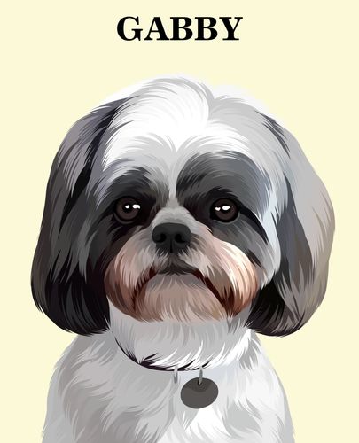 Customer photo review of The Passport - Custom Pet Canvas