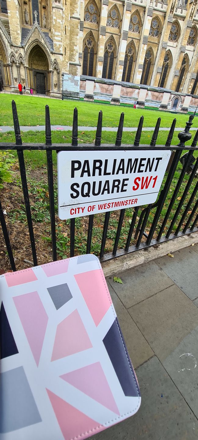 Customer photo review of Pink Geometric - Travel Organiser