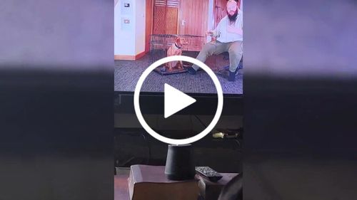 Customer video review of The Perfect Canine Companion Boot Camp