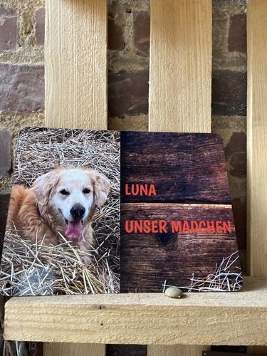 Customer photo review of Pferde Boxenschild mit Foto & Wunschtext