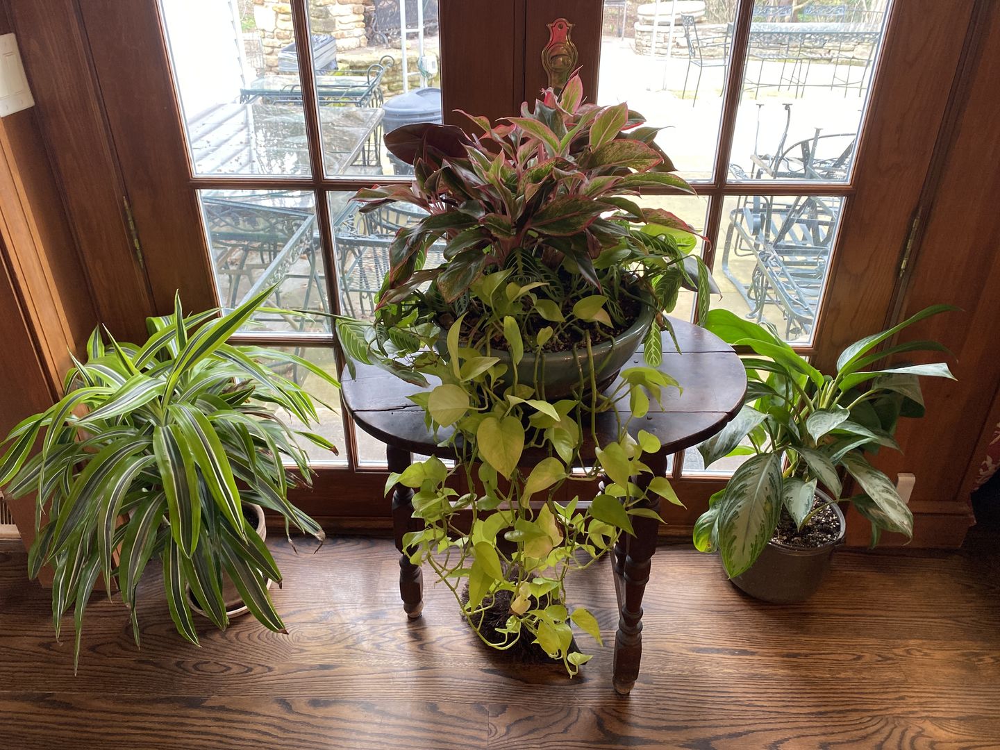 Customer photo review of Ancient Earth