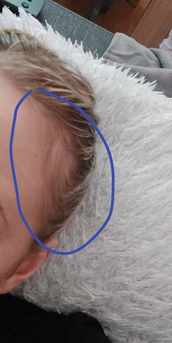 Customer photo review of Good Hair Vitamins - 3 mois