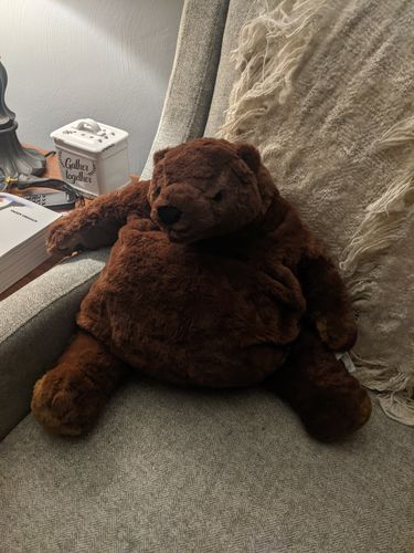 Customer photo review of SKOGGY BEAR
