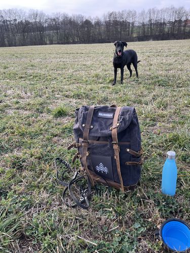 Customer photo review of Rucksack mit Patch (🌲)