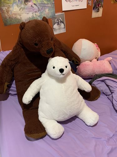 Customer photo review of SKOGGY BEAR