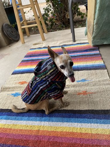 Customer photo review of Playa Poncho