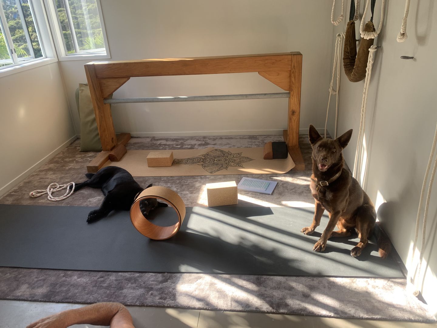 Customer photo review of Elephant Yoga Mat