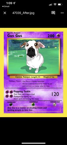 Customer photo review of Pokepet