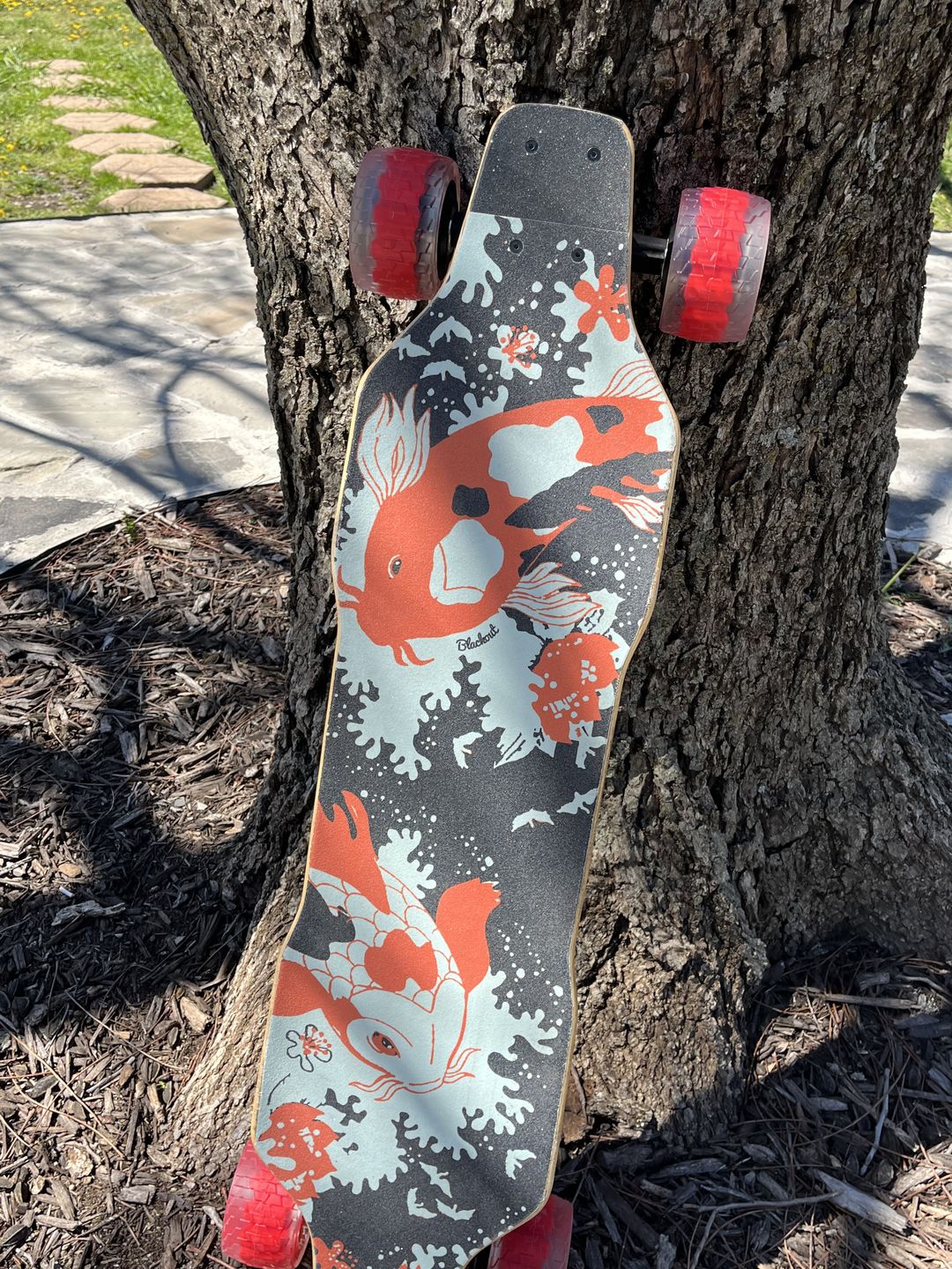 Customer photo review of 105mm Cloud Wheel Donut for Hub motors: G3, G3 Plus, G2 black, Galaxy and Mini