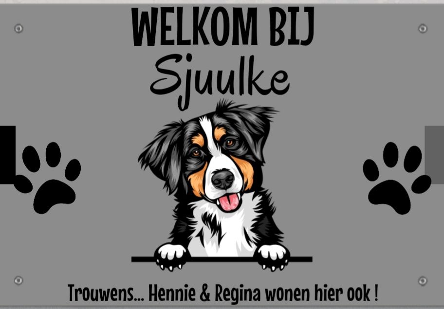Customer photo review of Spionerende huisdieren- Gepersonaliseerde deurbord