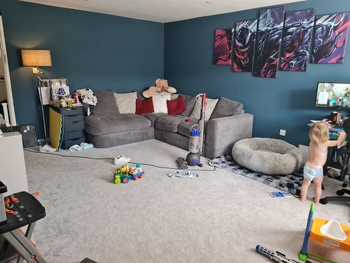 Customer photo review of Calming Dog Bed