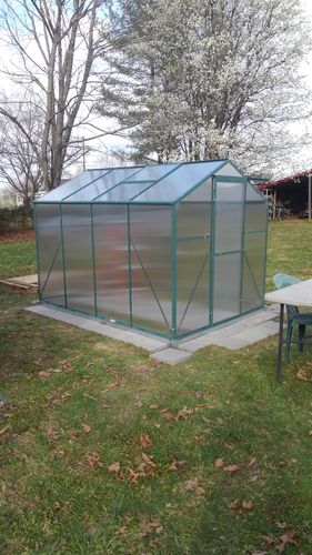 Customer photo review of Erommy 8'x6'x6.6' Aluminum Greenhouse Walk-in Garden Plant Greenhouses