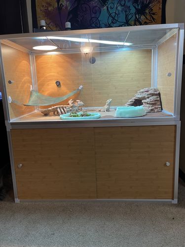 Customer photo review of 4'x2'x2' Meridian Wood Panel Reptile Enclosure