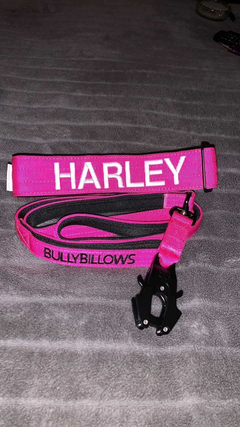Customer photo review of 1.4m Swivel Combat Lead | Neoprene Lined, Secure Rated Clip with Soft Handle - Magentas