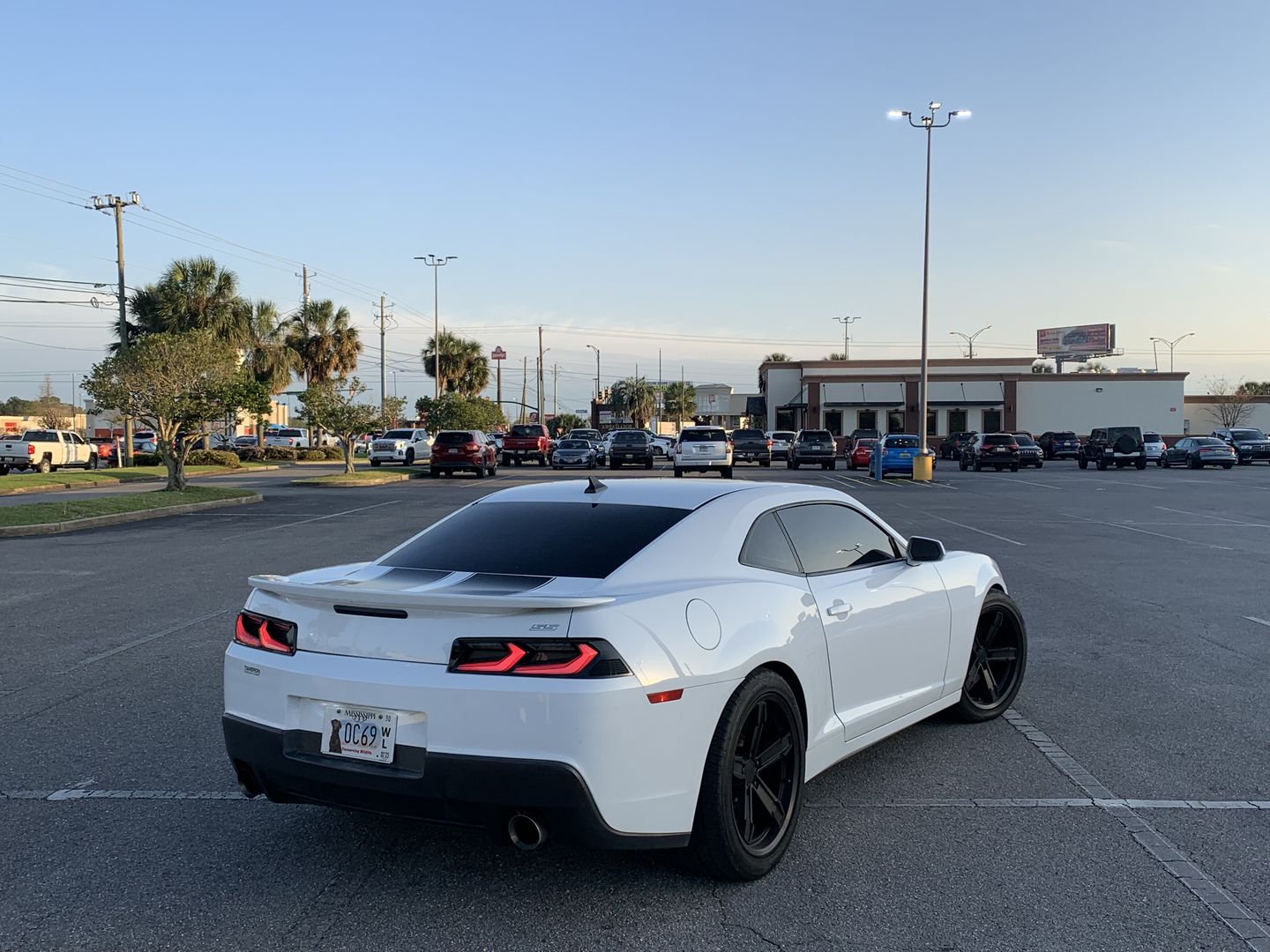 Customer photo review of 2014-2015 CHEVY CAMARO UMBRA LED TAILLIGHTS GLOSS BLACK/SMOKE LENS