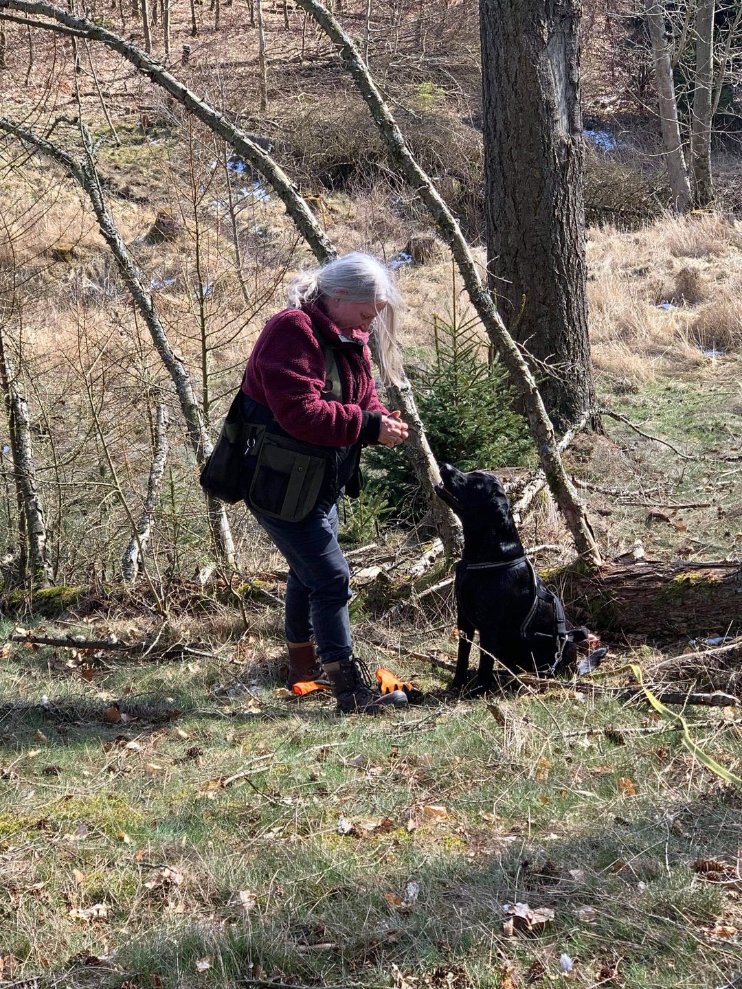 Customer photo review of DogCoach Gavekort