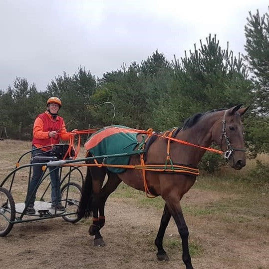 Customer photo review of Kristallkraft Brave Horse