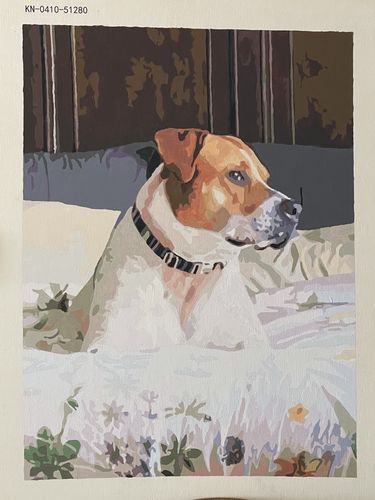 Customer photo review of Custom Paint By Numbers Kit - Upload Your Photo - Brush Set Included