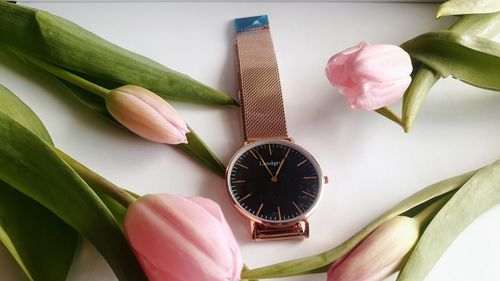 Customer photo review of Paris Edition Limited